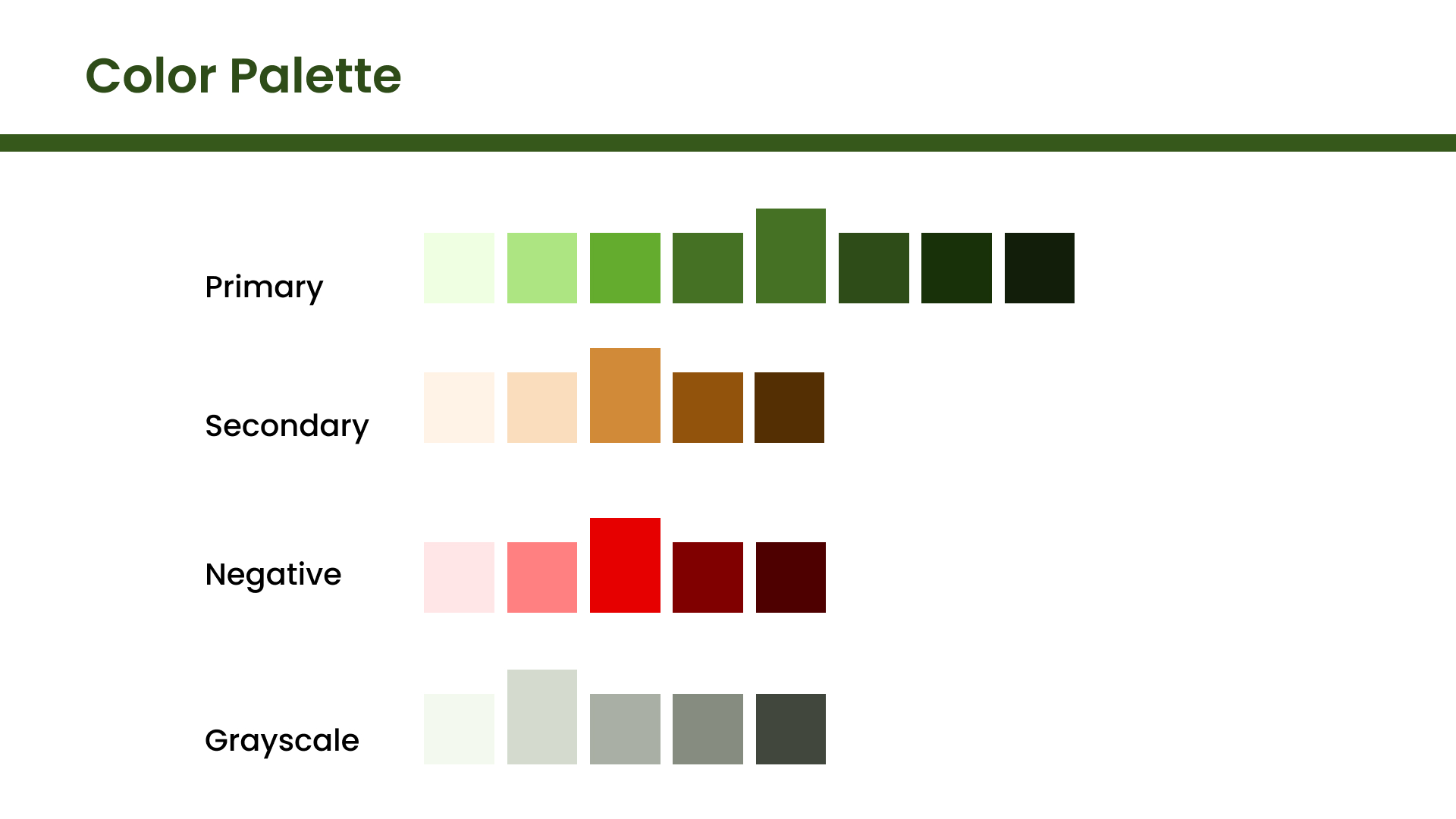 Color Palette for Dermaview design